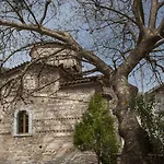 Kastania * Kastanea (Mani)