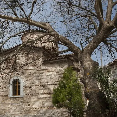 Kastania * Kastanea (Mani)